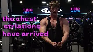 the chest striations have arrived
