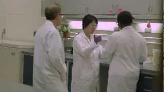 Purdue-designed fiber may improve digestive health
