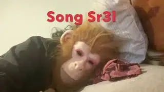 Most Wired Music Video U’ll Ever See