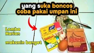 UMPAN MANCING ANTI BONCOS//MANCING IKAN MAS LOMBA MAUPUN HARIAN BESAR KECIL IKAN MAKANIN