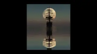 Kat Truewalker Live Stream