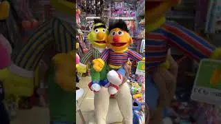 Meet Sesame Street Crew Plushies #Shorts