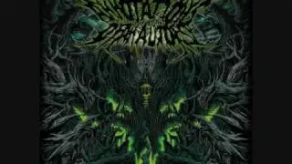Annotations Of An Autopsy - Gore Gore Gadget ( With Lyrics )