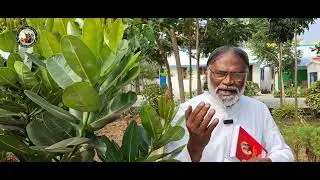 Fr.Actavius daily bible message 12.01.2026