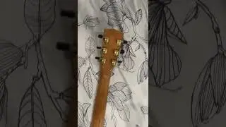 Spil.My@Coustica.Guitar (Cort.series) 