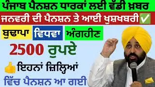 2500 ਪੈਨਸ਼ਨ #2500Pension #pension #bhagwantmann #oldagepension #punjabinews #punjabnaws #todaynews
