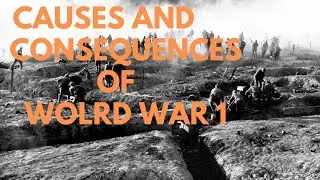World War 1 Overview,  What are Causes and Consequences of World War 1 #history