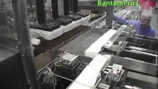 Brenton Case Packer: Loads Bags of Baby Wipes