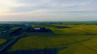 Metaphazic -  slipstream (no copyright music + video)