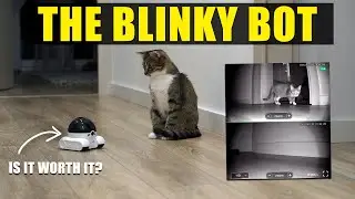 Обзор робота Blinky Bot &mdash; подходит ли этот робот-камера с искусственным интеллектом для домашних ...