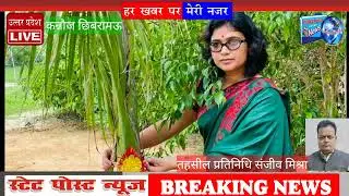 पेड़ों को राखी बांध दिया एकता का संदेश pedon ko Rakhi bandhkar Diya Ekta ka Sandesh