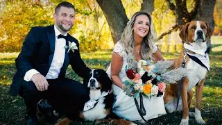 Stunning Intimate Wedding Ceremony & Dinner