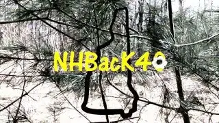 NHBacK40 Turkey intro