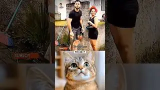 FUNNY MOMENTS AURA 🤣 #cat #meme #dance #trending #funny