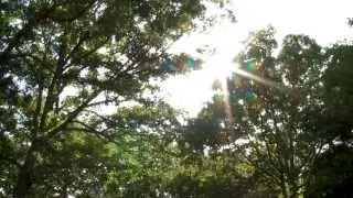 Video Journal - Day 1, Franklin County