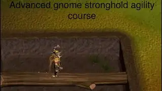 Advanced gnome stronghold agility course RS3