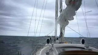 H&auml;vringe voraus