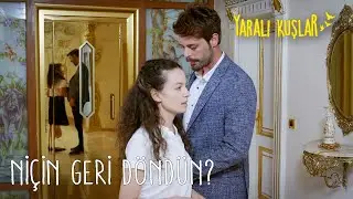 Levent ve Meryem'in duygusal yakınlaşması | Yaralı Kuşlar 59. Bölüm