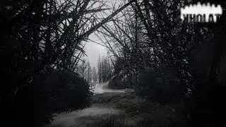 KHOLAT ultra settings#10 Nvidia GeForce 770 HD 1080p60fps!