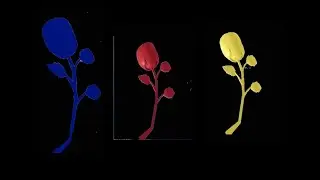 ALL FLOWER LOCATIONS