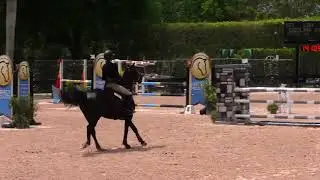 Diddlina d'Ive Z2019 WEF 2nd place speed class