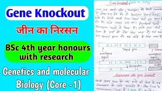 gene knockout in hindi / BSc 4th year honours with research / genetics and molecular Biology(Core 1)