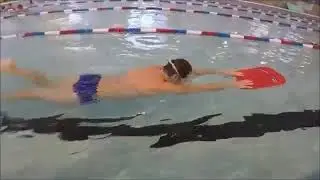 Battements jambes sur le Ventre avec Planche, t&ecirc;te dans l'eau