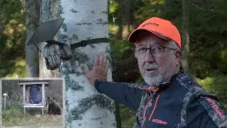 Hirvi juttelee karhun kanssa!
