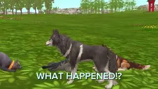 The Wolf with Fire Powers, WildCraft Story. [Part 1]