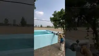 Farmhouse pool / jattlife baby 🔥 #farmlife #pool #poolparty #automobile #jattlife #farmer