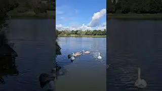 Wimbledon Park Lake