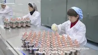 Hubei Dayu Hanguang Vacuum Electric Co., Ltd company introduction