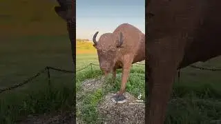 Moose Jaw #moosejaw