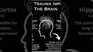 #music #life #nature #healing #trauma