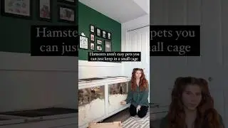 &ldquo;It&rsquo;s going to die in a year&rdquo; #hamsters #hamstercare #pets
