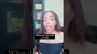 What do you get with the T Visa?