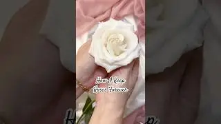 #rosedrying #driedflowers #diyproject #makeflowers #pressedflowers #craftprojects