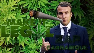 Une l&eacute;galisation en 2020?! | ZAP CANNABIQUE 12 !