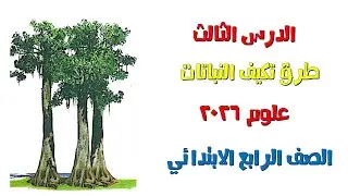 شرح الدرس الثالث طرق تكيف النباتات | علوم الصف الرابع الابتدائي 2026 | المنهج الجديد