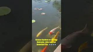 Sunken Gardens in Lincoln, Nebraska -Kids love the Beautiful Fish. 🐟🐟🐟🐟#sunkengardens #fish