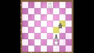 || Ye Endgame DRAW tha ya WIN? 🤯 Rook vs Pawn Battle || #chess #chessgames #shorts