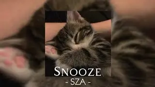 SZA - Snooze [ Speed Up - Reverb ]