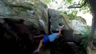 Fontainebleau - Le Grand Toit droite 7A