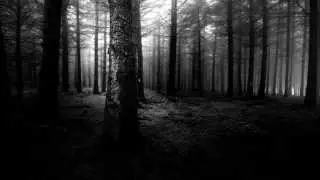 Lysithea - Here At The End Of All Things & Aokigahara