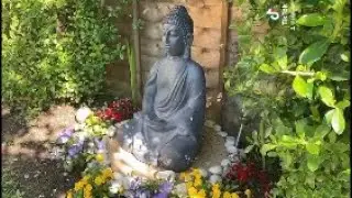 Buddha in our back garden
