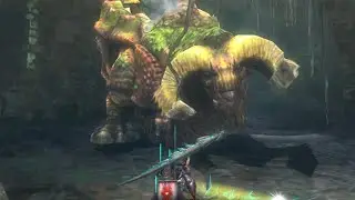 Monster Hunter 3 Ultimate - Duramboros