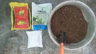 Best biofertilizers & micronutrients for plant growth।@RoofTerraceGardening