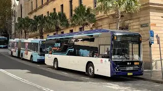STA Sydney m/o 6520 (Demonstrator) - Custom Denning Element