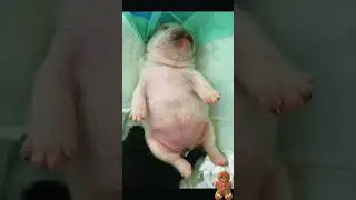 ai nu&ocirc;i em ko.. 🤧🤧🤧