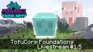 Project Singularity Livestream 1.5 : TofuCorp Foundations